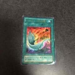 ハーピィの羽根箒のサムネイル