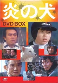 炎の犬　DVD  BOXのサムネイル