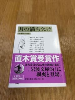 月の満ち欠け 佐藤正午 岩波書店のサムネイル