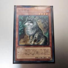 遊戯王 孤高除獣(ノーマル)のサムネイル