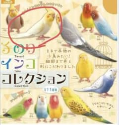 手のりインココレクション　オカメインコ　ガチャのサムネイル