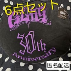 GIGO限定★GLAY 30th　CDキーホルダー　クッション　オルゴール　6点
