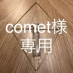 PIKE wall brass vase/ピケウォールブラスチューブベースのサムネイル