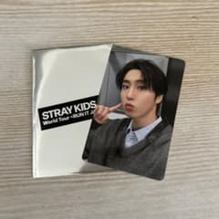 Stray Kids ハン トレカ RUN IT 購入特典　ハン　ジソン　ハニ
