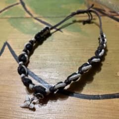 #サメの歯#サメ#セブのサムネイル