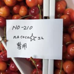 nacoco☆さん専用NO210紅秀峰2Lサイズ秀品紅秀峰。双子果１キロの二箱 nacoco☆さん専用NO210紅秀峰2Lサイズ秀品紅秀峰。双子果1キロの二箱