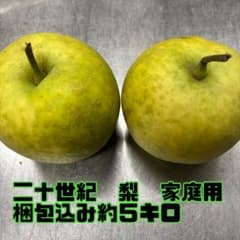 20世紀梨　５キロのサムネイル