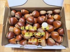 岐阜県産 生栗 1.5kg 農薬不使用のサムネイル
