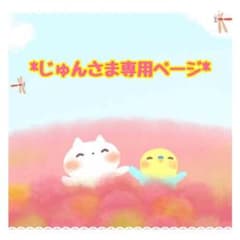 ◆ じゅんさま専用ページ ◆のサムネイル