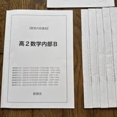 鉄緑会 夏期内部講習 高2数学内部Bのサムネイル