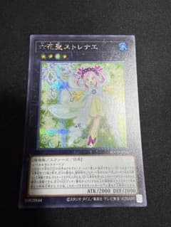 遊戯王　六花聖ストレナエ　シークレットレア１枚
