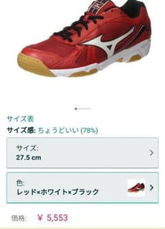 ハンドボールシューズ 赤のサムネイル