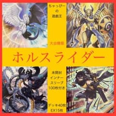 遊戯王 本格構築済みデッキ ホルス ライダー デッキ55枚 光と闇