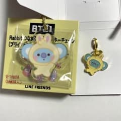 BT21 아크릴 키체인 메탈 매력 Rabbit KOYA 코야