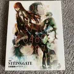 劇場版 STEINS;GATE 負荷領域のデジャヴ Blu-rayのサムネイル