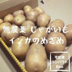 無農薬】 千葉県産 新じゃがいも インカのめざめ 約1.1kg〜1.3kg 