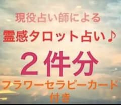 みかにゃんこの占い♪ ご質問お２つ分ページ♪のサムネイル