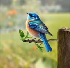 ガーデンオブジェ メタルバード HANAKO 野鳥W1 青い鳥 ルリツグミ