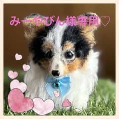 羊毛フェルト　みーやびん様専用のサムネイル