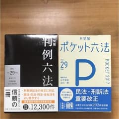【2冊セット】ポケット六法 判例六法 平成29年版のサムネイル