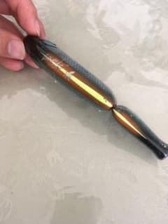 確認用ですのサムネイル