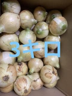 静岡県産　新玉ねぎ　黄玉　3キロのサムネイル