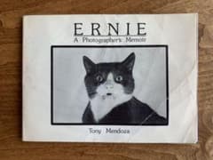 ERNIE by Tony Mendozaのサムネイル