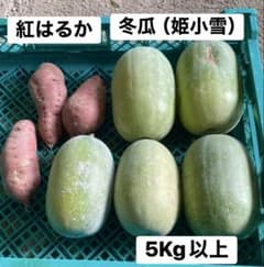 とうがん（姫小雪）　さつまいも　セットのサムネイル