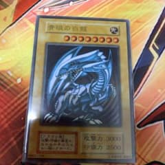 青眼の白龍　ステンレスのサムネイル
