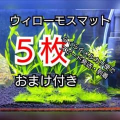 アクアリウム  ウィローモス  水草  モスマット  南米ウィローモスのサムネイル