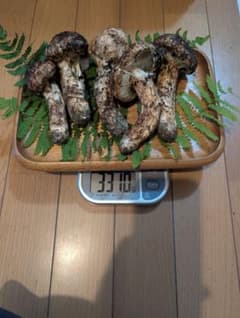 岩手県岩泉産松茸のサムネイル