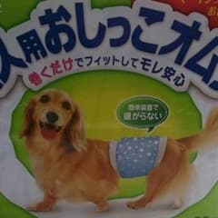 マナーパンツ男の子用  S  ６枚のサムネイル