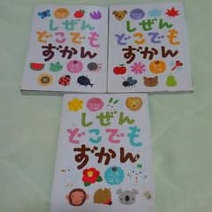 本　しぜんどこでもずかん　チャイルドブック付録のサムネイル