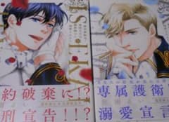 異世界転生！悪役王子は護衛騎士に溺愛される!!1.2　秋雨るいのサムネイル
