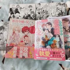 アンダルシュ アルファポリス 小説 まとめ売り 19冊セット アルファポリス新刊セット - メルカリ