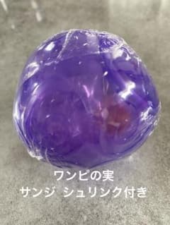 ワンピの実 サンジのサムネイル
