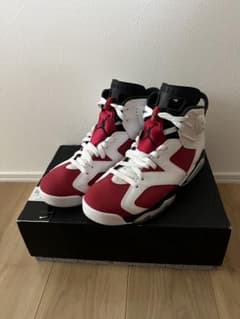 ダイヤ様専用 Air Jordan 6 Carmine 28.0cm 2021のサムネイル