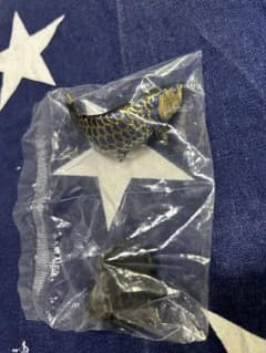 ガチャ　アジアアロワナ(藍底過背金龍)　古代魚　いきもの大図鑑のサムネイル