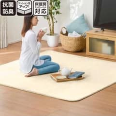 ゆう様専用。 ニトリ ふわふわやわらかラグ。のサムネイル