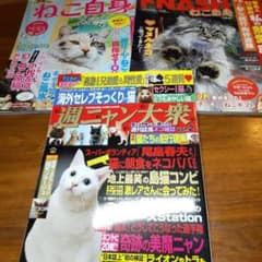 猫の本　3冊セットのサムネイル