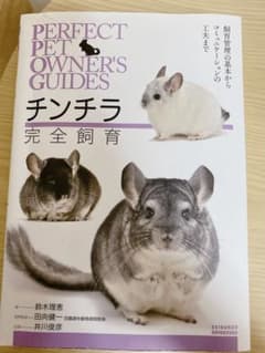 チンチラ　完全飼育のサムネイル