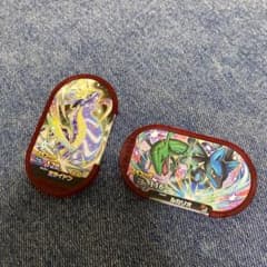 専用ですのサムネイル