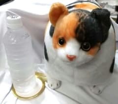가격 [미품] 이부토치 Zoo 냥코 봉제 장난감 삼모 고양이 길이 43cm
