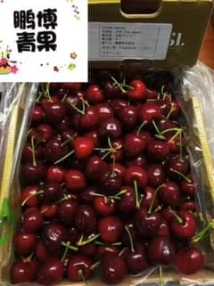 プレミアムチェリー チリ産 1kg 4Jのサムネイル