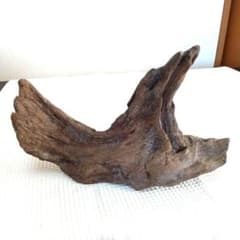 自然な形状の流木　インテリア、ハンドメイドのサムネイル