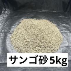 水槽用 サンゴ砂 細目 5kgのサムネイル