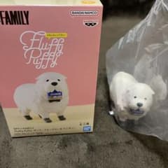 SPY × FAMILY 본드 포저 신품