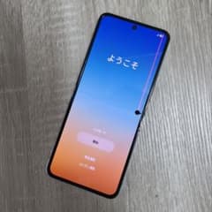 Z Flip5 ミント ジャンク品(海外版) - メルカリ