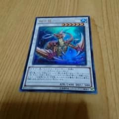 コーラルドラゴンのサムネイル