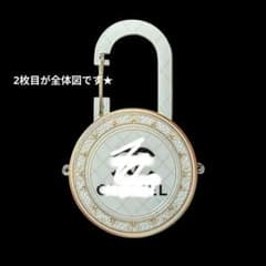 カラビナ　キーホルダー　チャーム　1点のみのサムネイル